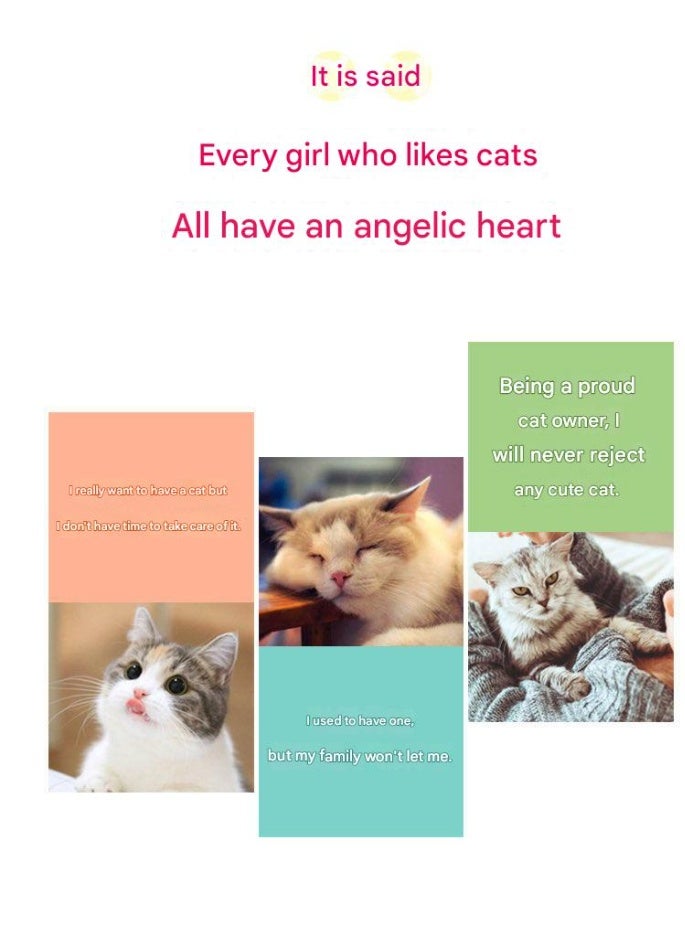 A.M Display Mold Sleeping Cat Design Purifying Air Plastic Cartoon Simulation Animal Model for Car - Image 5