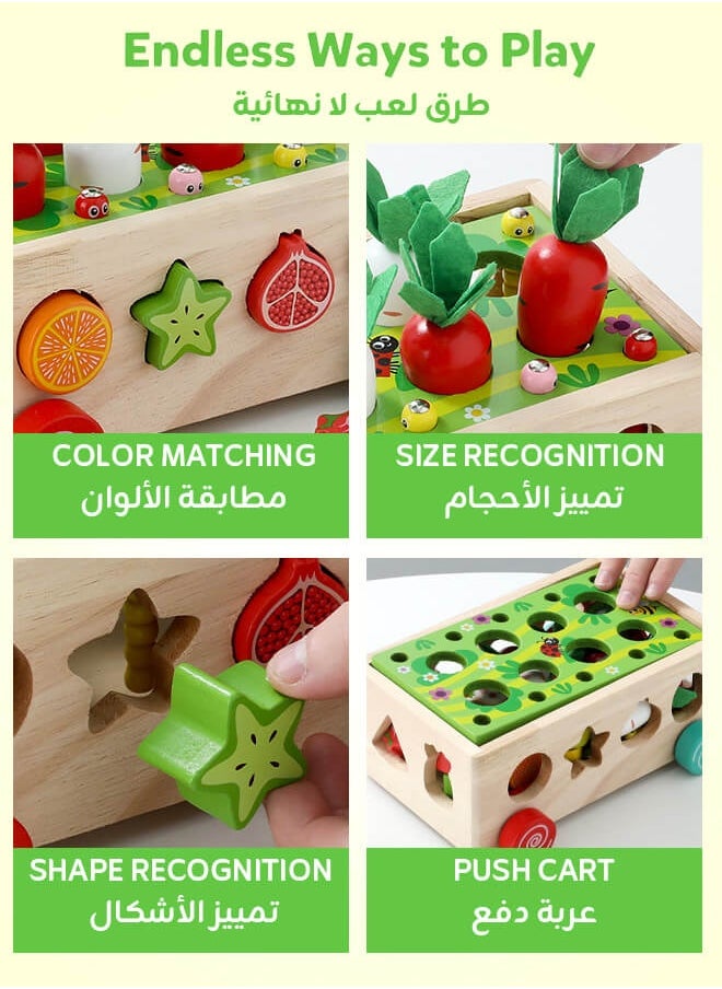 Aurlar Montessori Wooden Educational Toys for Toddlers, Carrot Pulling, Fruit Sorting, Safe Fine Motor Skills Gift for Kids 1-4 Years Old  - Image 3