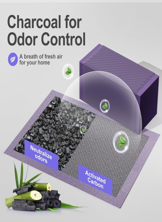 Gardner Pet Cat Pad Refills for Litter Box, 16.9"x11.4" Odor Control Cat Pee Pads with Activated Carbon for Breeze Litter System(50Counts/Purple) - Image 3