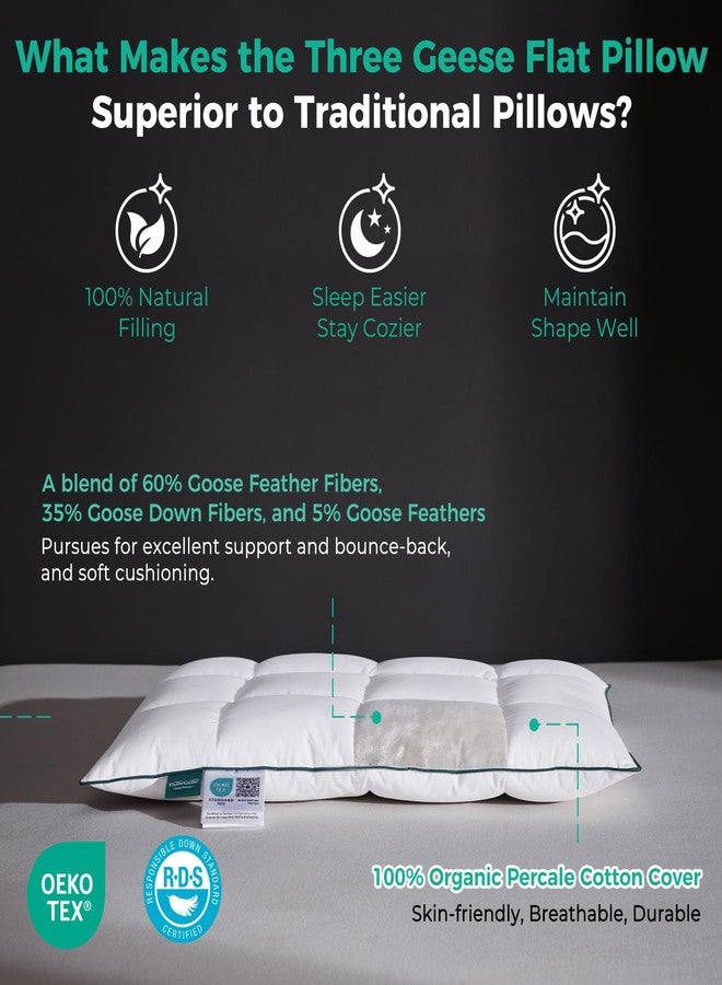 Three Geese Ultra Thin Flat Goose Down Feather Pillows for Sleeping Standard Size, 2.5" Height, 100% Cotton Cover, Ultra Slim Hotel Collection Bed Pillow for Stomach, Back Sleeper, 18x26 in. - Image 4