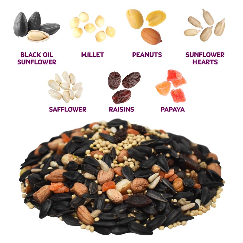 Audubon Park Nut & Fruit Wild Bird Seed - 8 lb. Premium Blend with Sunflower Seeds, Peanuts, Safflower & Dried Fruit - Bird Food for Outside Feeders - Image 2