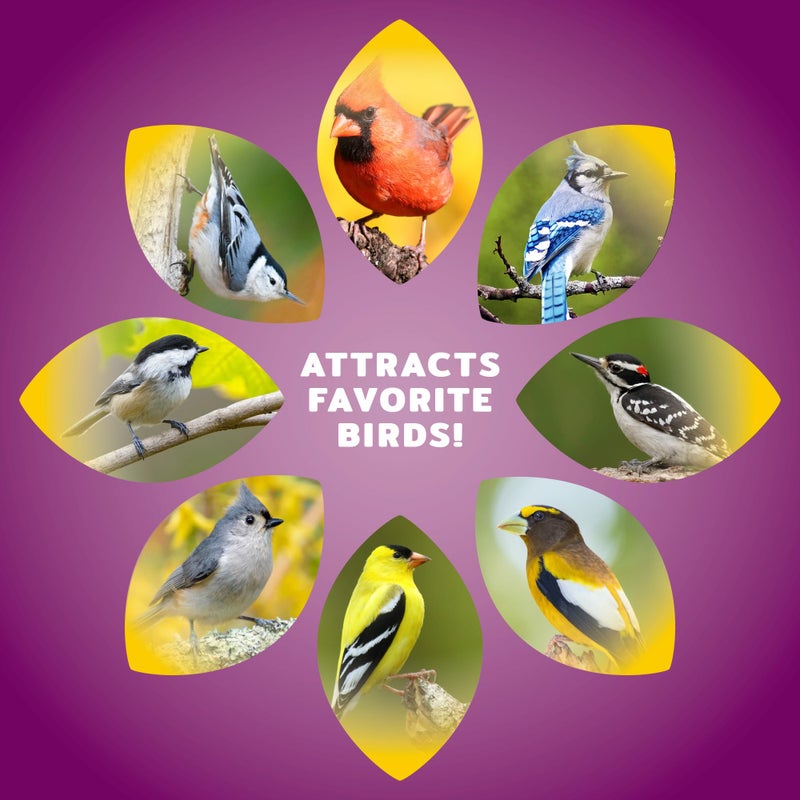 Audubon Park Nut & Fruit Wild Bird Seed - 8 lb. Premium Blend with Sunflower Seeds, Peanuts, Safflower & Dried Fruit - Bird Food for Outside Feeders - Image 5