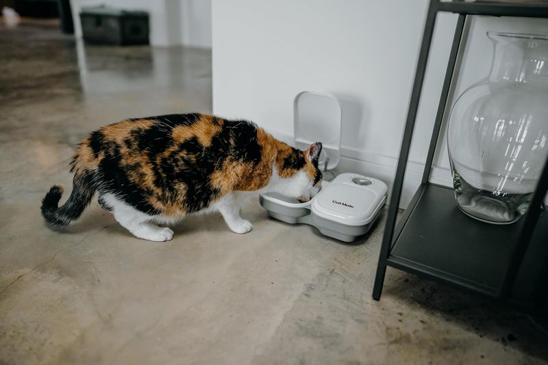 Cat Mate C200 2 Meal Automatic Pet Feeder for Cats and Small Dogs with Ice Pack - Image 3