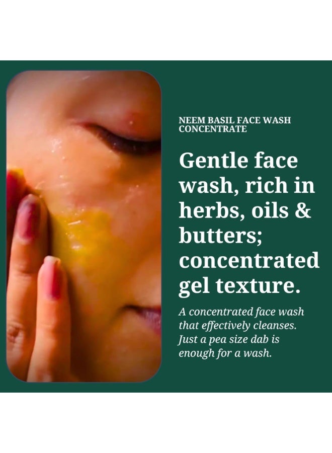 راستيك أرت غسول الوجه المركز بالريحان والنيم من ريفي | التحكم في حب الشباب والبثور | جل التنظيف العميق 3X طويل الأمد | عضوي وعشبي | خالي من الكبريتات والبارابين | الأفضل للبشرة الدهنية والمعرضة لحب الشباب | 50 جرام - Image 3