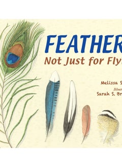 Feathers : Not Just for Flying 