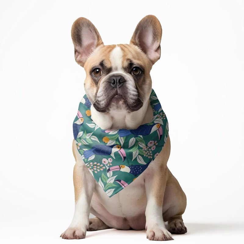 W Brings Toucan & Orange Dog Bandana/Dog Scarf | This Beautiful Gorgeous Design Dog Bandana Scarf is Perfect Styling Accessory for Dogs Large, Medium & Small. One Size Fits All. - Image 3