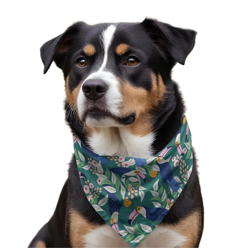 W Brings Toucan & Orange Dog Bandana/Dog Scarf | This Beautiful Gorgeous Design Dog Bandana Scarf is Perfect Styling Accessory for Dogs Large, Medium & Small. One Size Fits All. - Image 4