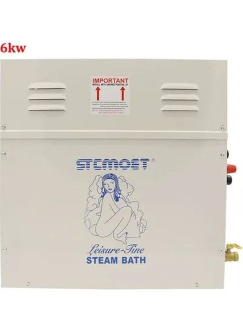 Steam Bath Generator