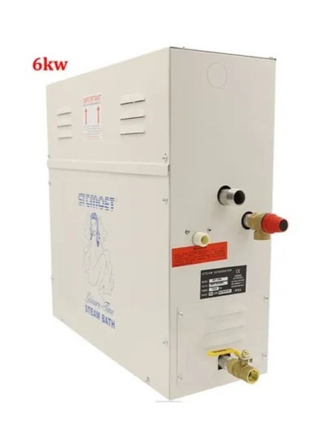 Steam Bath Generator