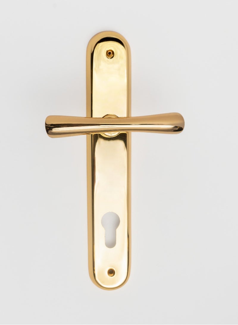 Siag Remo 1/2 Cylinder Door Handle - Image 1