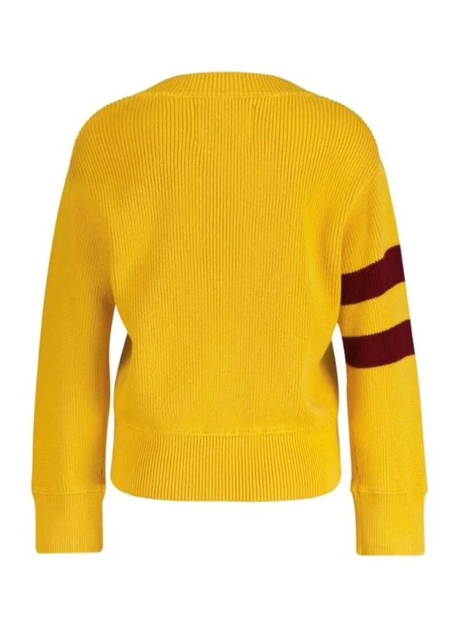 GANT GANT Varsity V-Neck Sweater