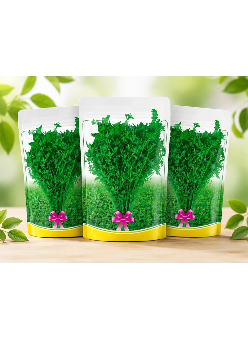 vsell24 PACK OF 3 Alfalfa Seeds - Purple Flowering Lucerne Plant Seeds for Home Garden, Farm & Animal Feed - Image 1