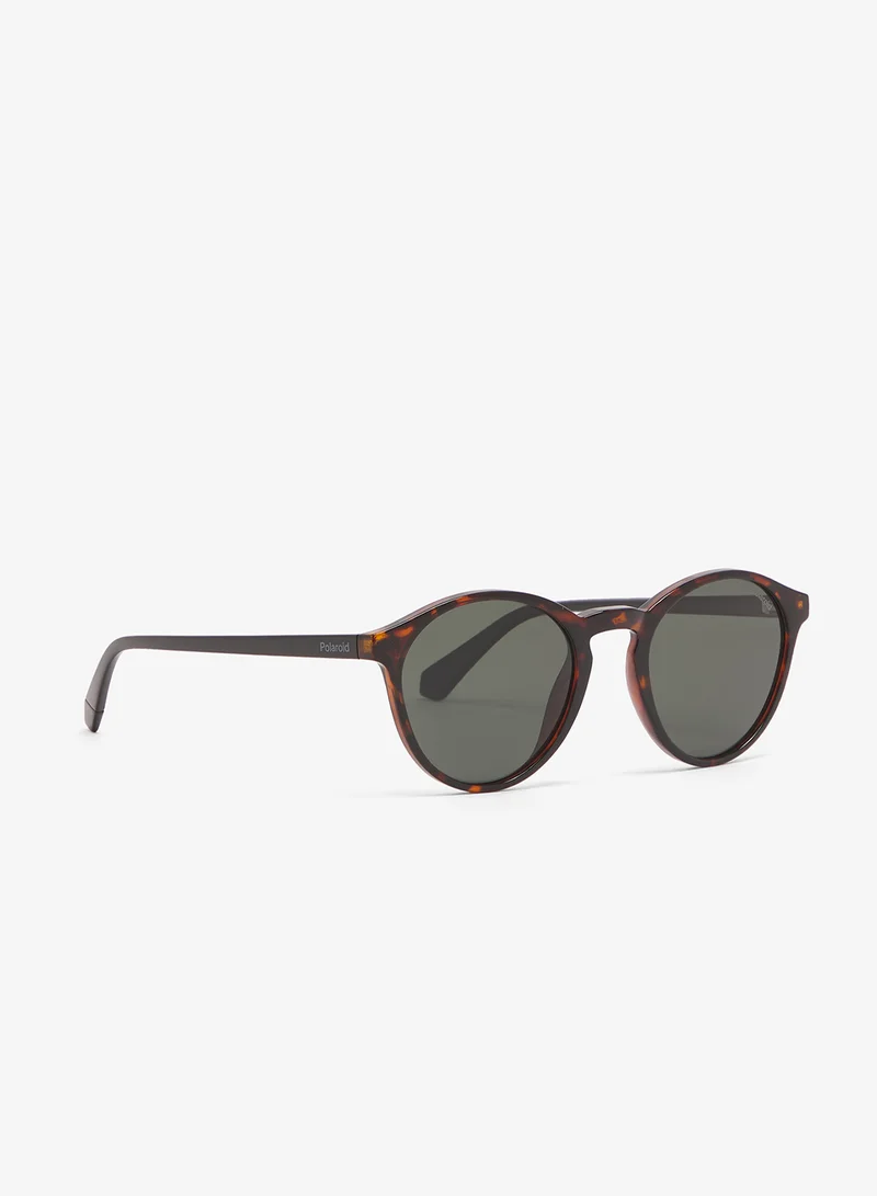 Wayfarers Sunglasses