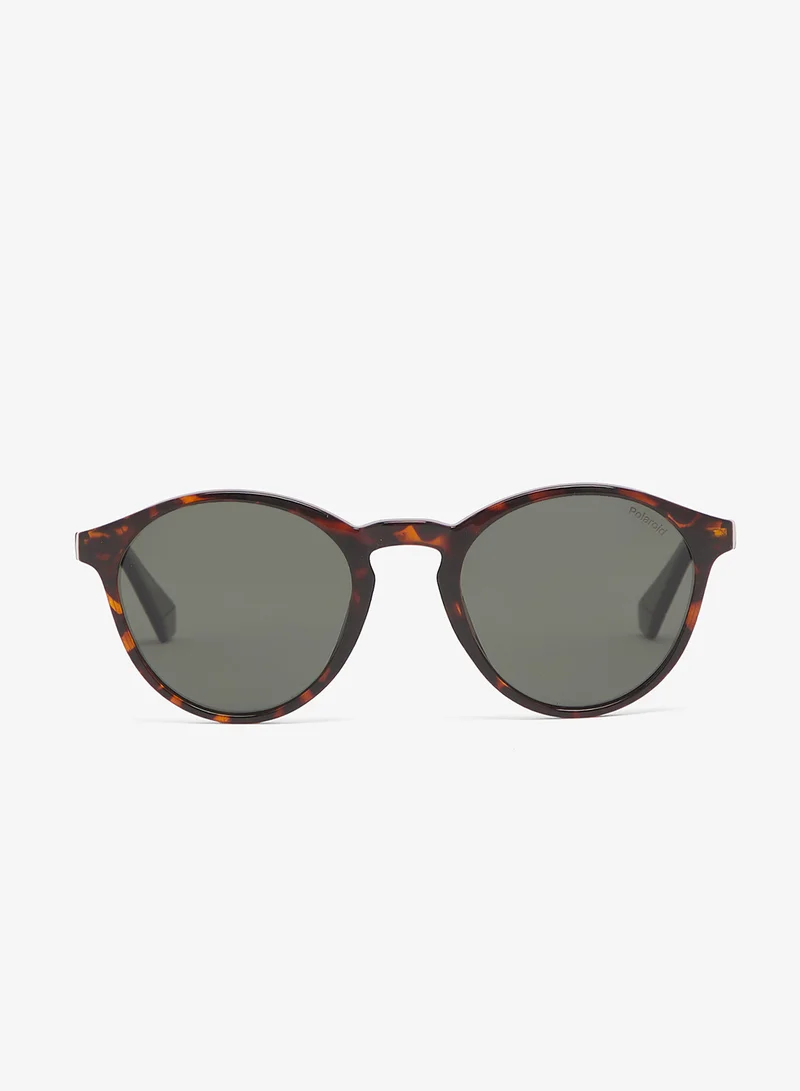 Polaroid  Wayfarers Sunglasses for Men | Best Price UAE