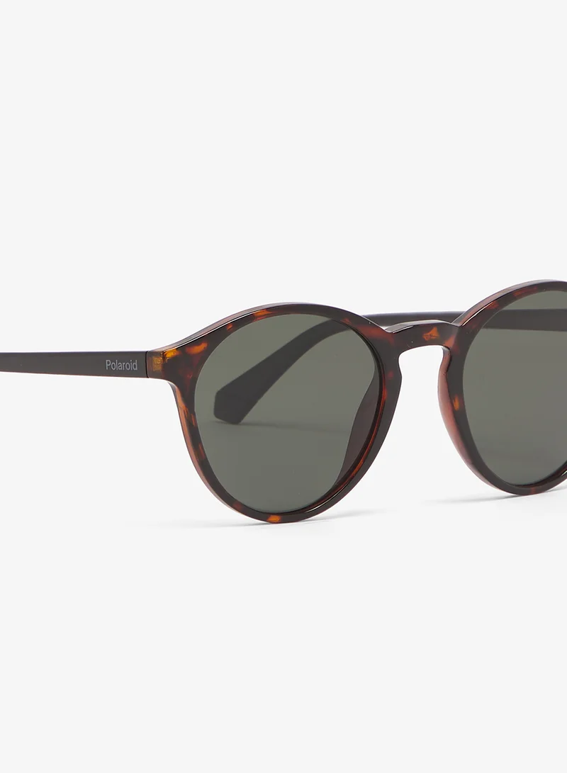 Polaroid  Wayfarers Sunglasses for Men | Best Price UAE