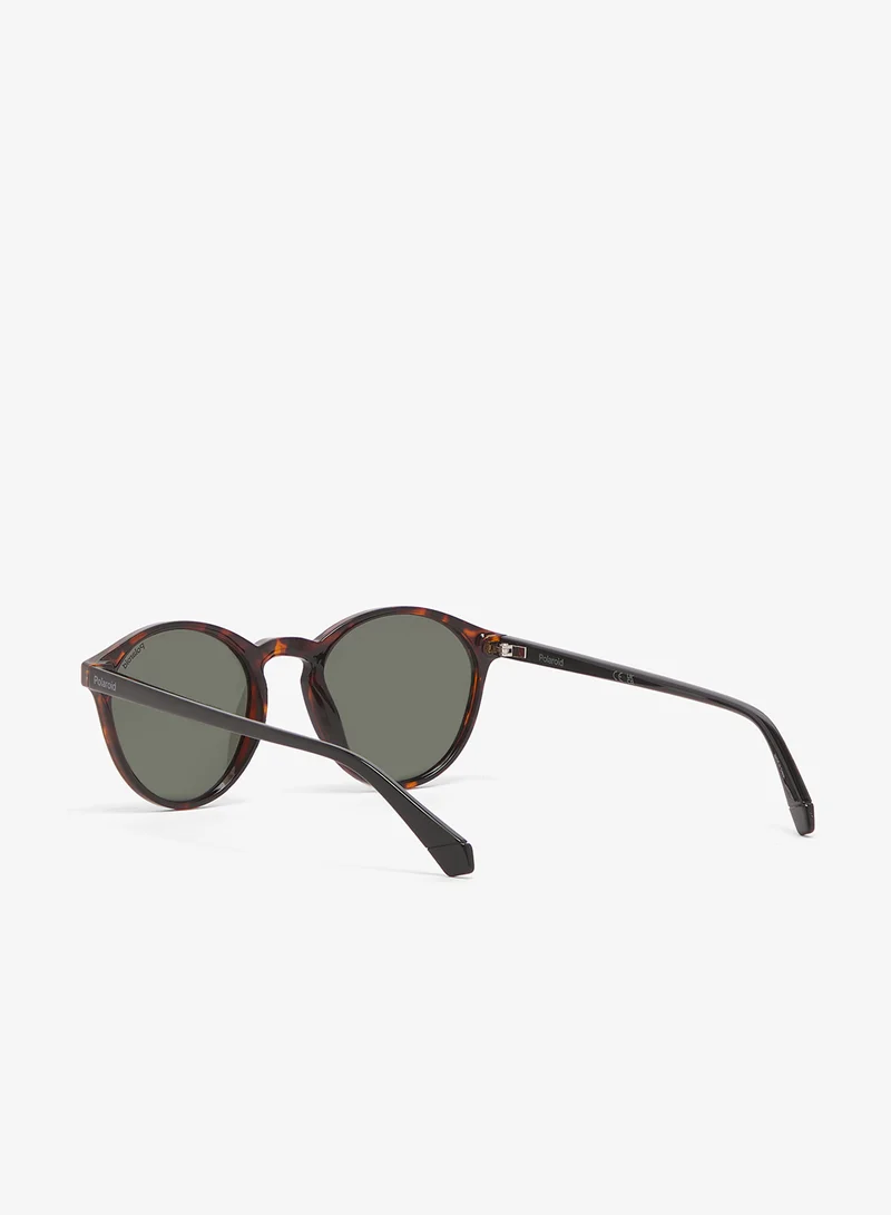 Polaroid  Wayfarers Sunglasses for Men | Best Price UAE