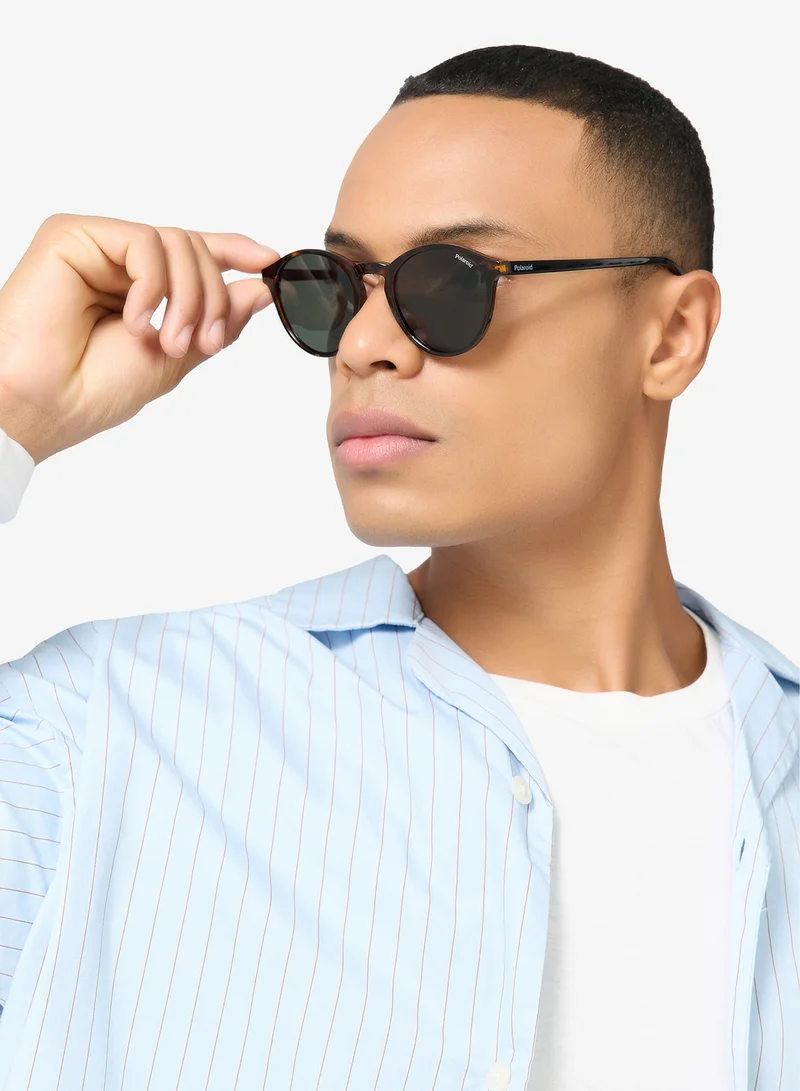 Polaroid  Wayfarers Sunglasses for Men | Best Price UAE