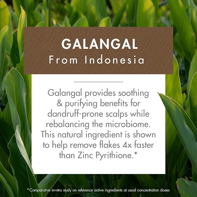 Klorane Anti-Dandruff Rebalancing Shampoo With Galangal 400Ml - Image 3