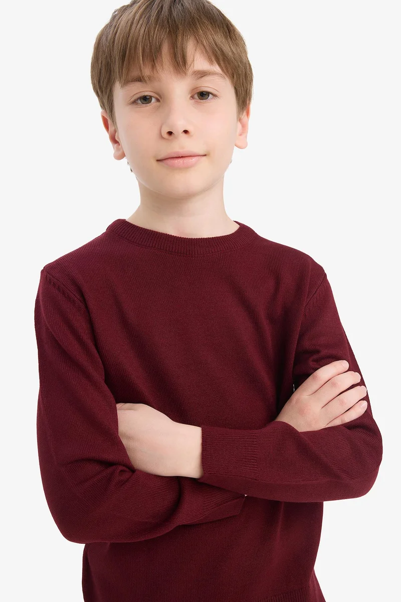 Defacto Boy Regular Fit Crew Neck Knit Pullover