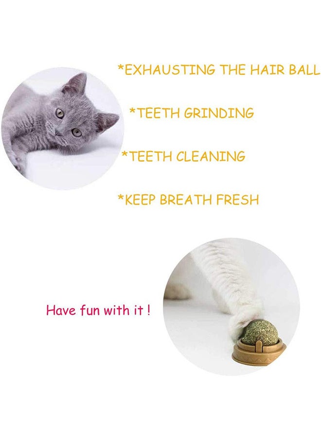 Depend - 2 PCS Catnip Toy Ball, Self Adhesive Edible Catnip Toy Rotatable Natural Mint Leaf Rotating Interactive Toy For Cat Teeth Cleaning Indoor Cat Chew - Image 1