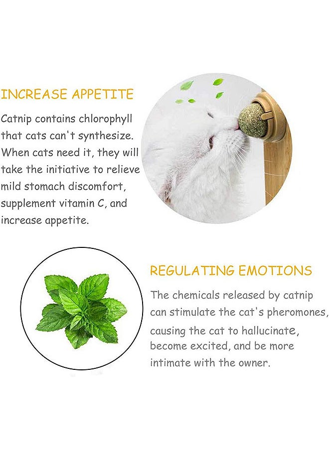 Depend - 2 PCS Catnip Toy Ball, Self Adhesive Edible Catnip Toy Rotatable Natural Mint Leaf Rotating Interactive Toy For Cat Teeth Cleaning Indoor Cat Chew - Image 1
