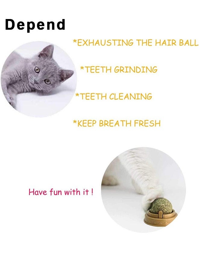 Depend 2 PCS Catnip Toy Ball, Self Adhesive Edible Catnip Toy Rotatable Natural Mint Leaf Rotating Interactive Toy For Cat Teeth Cleaning Indoor Cat Chew - Image 5