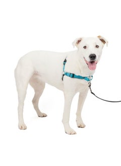 PetSafe PetSafe Easy Walk Deluxe Dog Harness, No Pull Dog Harness - Perfect for Leash & Harness Training - Stops Pets from Pulling and Choking on Walks - Medium/Large, Ocean  - Image 1