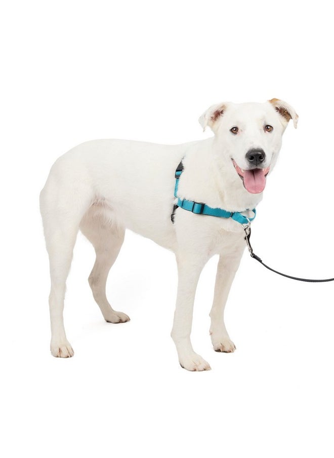 بيت سيف حزام الكلب الفاخر سهل المشي من PetSafe، حزام الكلب بدون سحب - مثالي للتدريب على المقود والحزام - يمنع الحيوانات الأليفة من السحب والاختناق أثناء المشي - متوسط/كبير، المحيط  - Image 1
