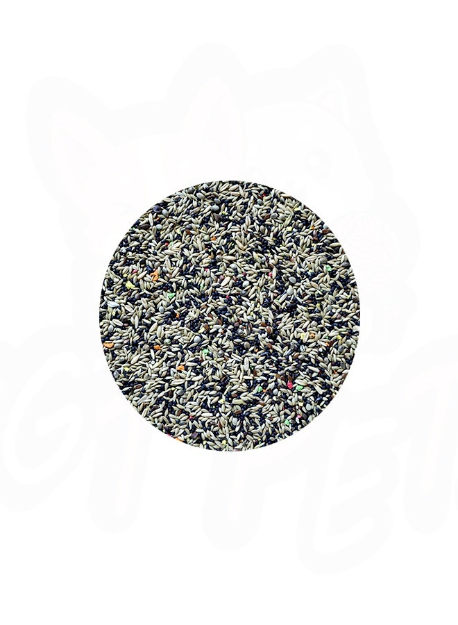FARMA Canary Special Mix - 1 KG - Image 2