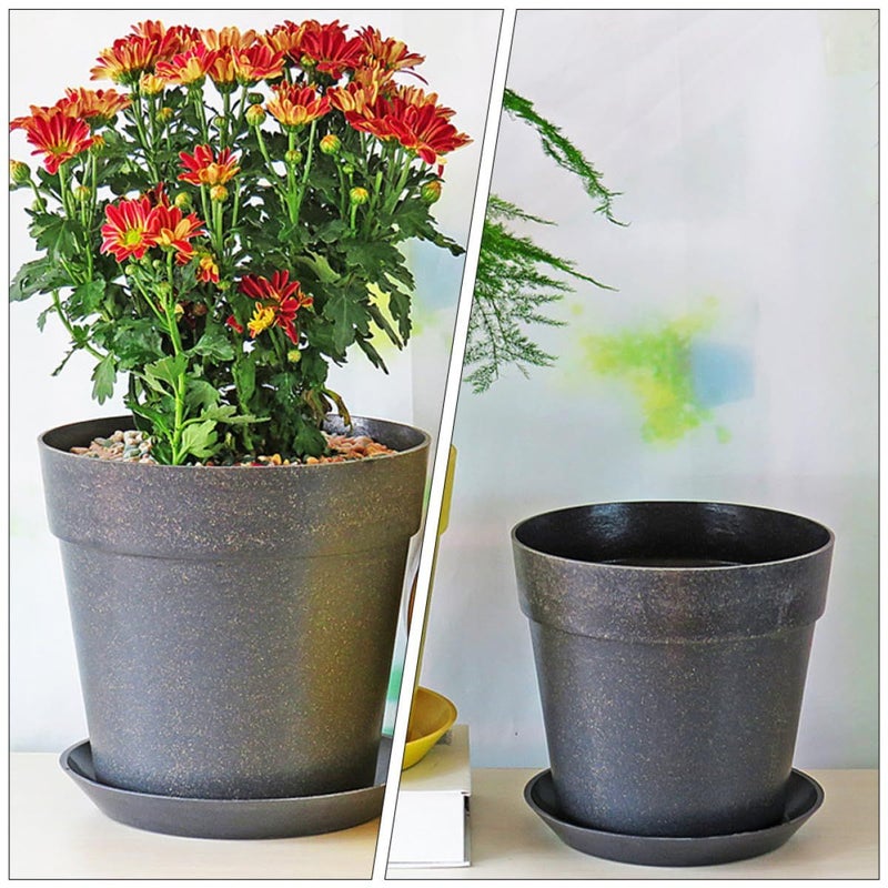Large Biodegradable Plant Pot with Saucer Set for Indoor Office Succulents - Image 5