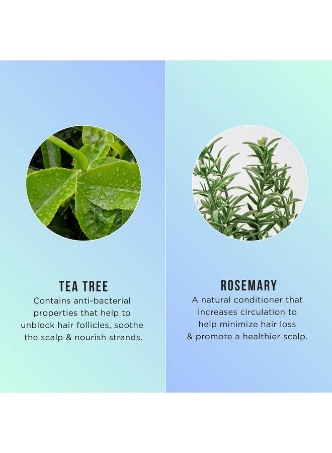 هاسك مقشر فروة الرأس هاسك بزيت شجرة الشاي وإكليل الجبل قبل غسل الشعر بالشامبو، مناسب لجميع أنواع الشعر، آمن على اللون، خالٍ من الغلوتين والكبريتات والبارابين، خالٍ من القسوة، 6 أونصة - Image 4