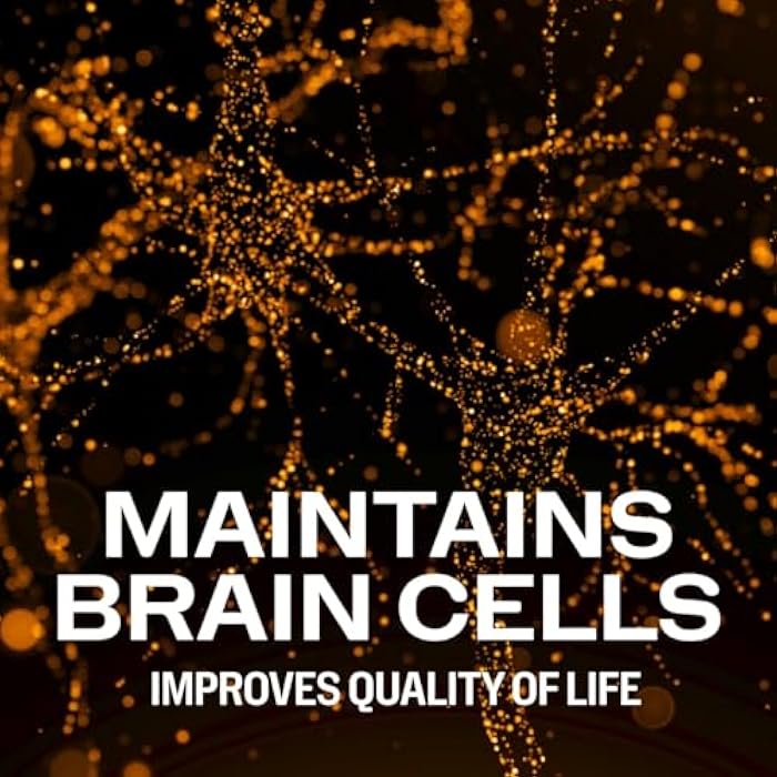 Vimergy Brain Body Memory* – Powers 5 Memory Types and 10 Benefits of Memory Function - Fast-Absorbing, only Three Ingredients - Non-GMO and Gluten Free - 1 Scoop for Ages 18+ - Image 4
