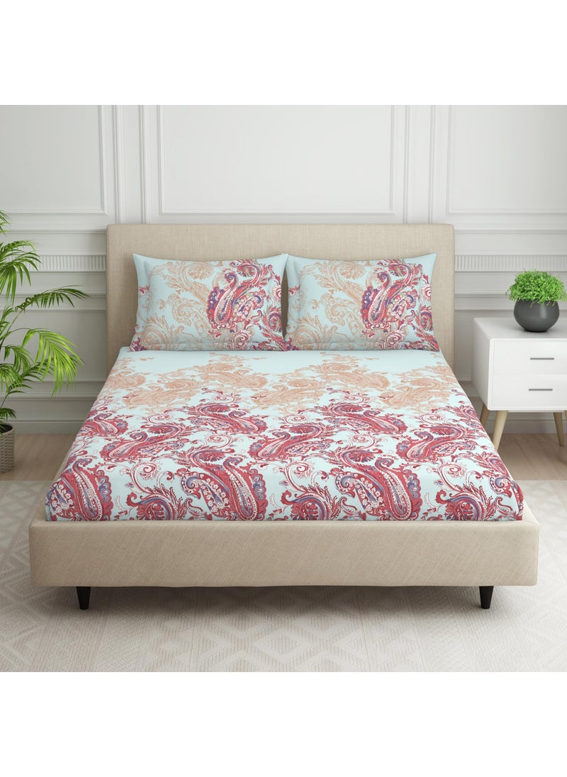 SPACES SPACES 100% Cotton Double Bedsheet with 2 Pillow Covers (Size 108 x 108 inch) | 144 TC Bed Sheet for Double Bed | Breathable Pure Cotton King Size Bedsheet | FLAMBOYANCE | Ornate Light Blue  - Image 1