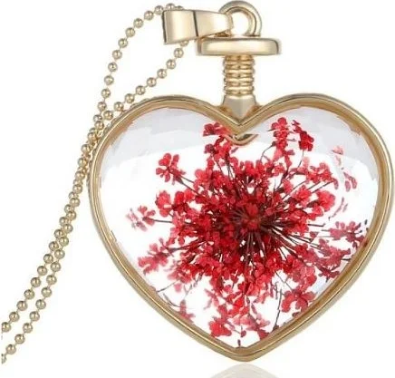 شافين Living Crystal Glass Dried Flower Women's Necklace Dr40