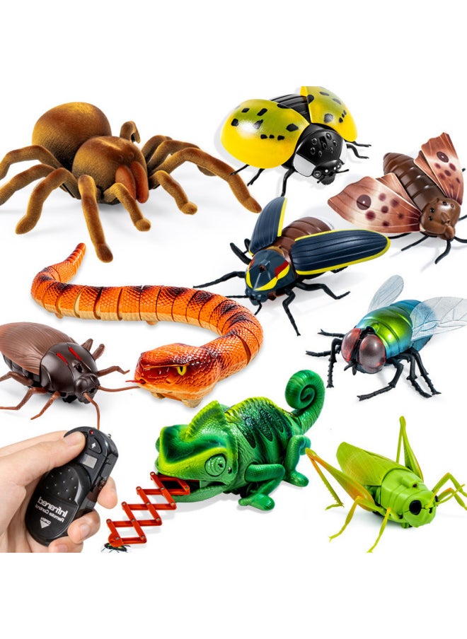Shake Sound Explosion Strange Simulation Remote Control Animal Infrared Trick Remote Control Snake Remote Control Spider Toy Wholesale-Color:8888 Remote Control Chameleon