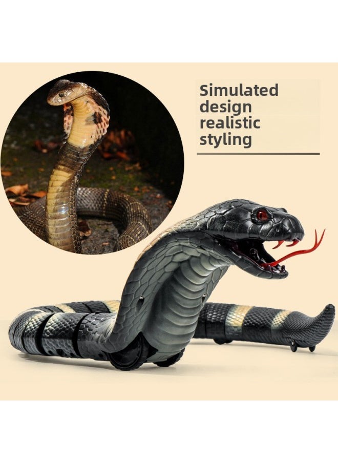 Shake Sound Explosion Strange Simulation Remote Control Animal Infrared Trick Remote Control Snake Remote Control Spider Toy Wholesale-Color:8888 Remote Control Chameleon