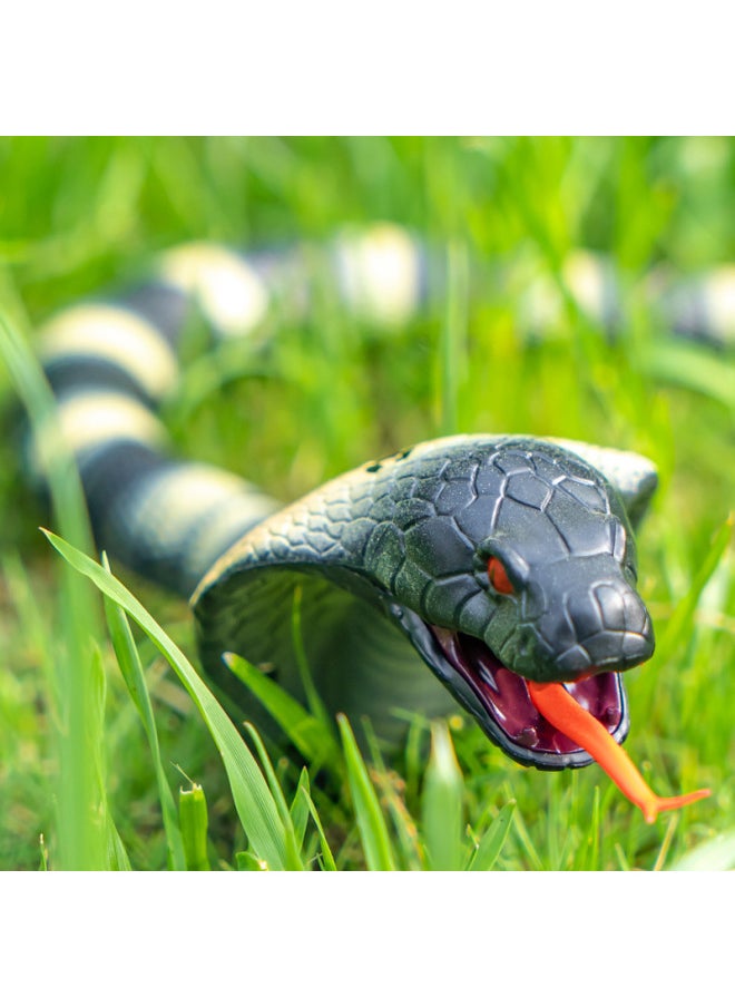 Shake Sound Explosion Strange Simulation Remote Control Animal Infrared Trick Remote Control Snake Remote Control Spider Toy Wholesale-Color:8888 Remote Control Chameleon