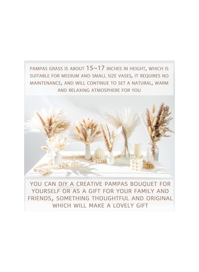The Bros Natural Dried Pampas Grass Boho Home Decor Bouquet Phragmites Dried Flowers Bouquet for Wedding Floral Arrangements Home Decorations (70PCS) - Image 5