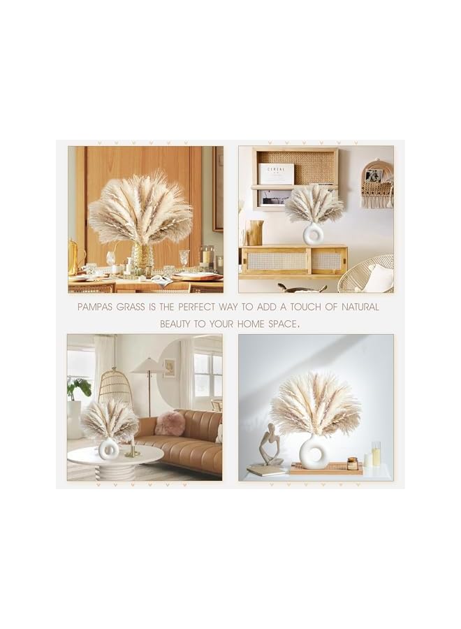 The Bros Natural Dried Pampas Grass Boho Home Decor Bouquet Phragmites Dried Flowers Bouquet for Wedding Floral Arrangements Home Decorations (70PCS) - Image 2