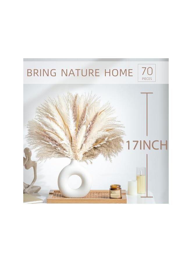 The Bros Natural Dried Pampas Grass Boho Home Decor Bouquet Phragmites Dried Flowers Bouquet for Wedding Floral Arrangements Home Decorations (70PCS) - Image 3