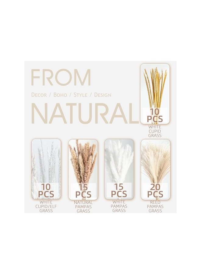 The Bros Natural Dried Pampas Grass Boho Home Decor Bouquet Phragmites Dried Flowers Bouquet for Wedding Floral Arrangements Home Decorations (70PCS) - Image 4