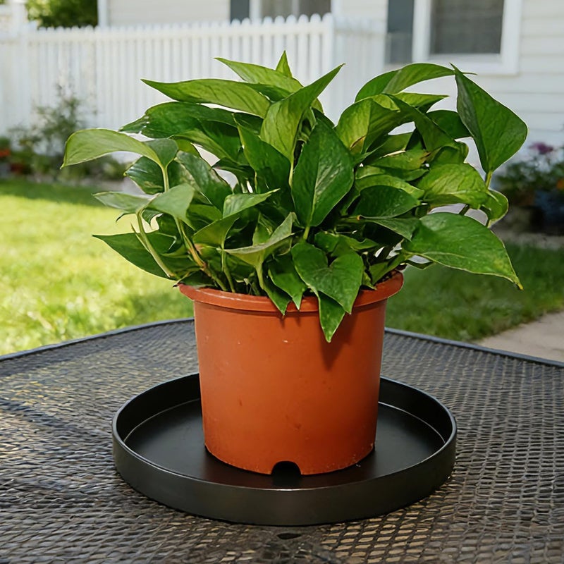 Afrine 4 Pack 5 inch Plant Saucer Drip Tray, Heavy Sturdy Plastic Planter Flower Pot Drainage Tray Plate Saucers for Indoor Outdoor Garden, Plant Water Drip Trays for pots Base (5", Black) - Image 5