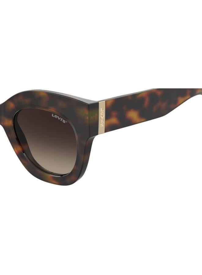 Levi's Square Sunglasses Frames - Image 4
