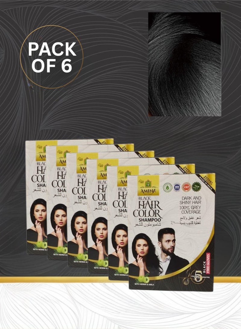 Amina 1 Minute Express Vip Permanent Black Herbal Hair Colour Shampoo With Heena & Amla for Men and Women 120ml (20ml Pack of 6) Quickest Colours For Your Hair With Gloves Free - Image 2