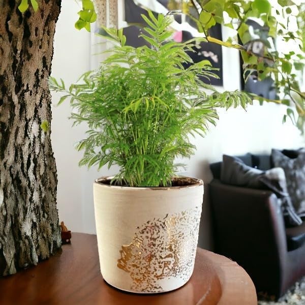 Fox & Fern Premium Imported Ceramic Planter for Vibrant Garden | Enhance The Ambiance of Your Home, Office or Garden (Dia. 5Inch) (GA133B-079-GW) - Image 4