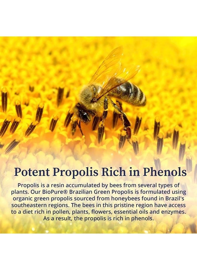 BioPure - Brazilian Green Propolis Pure Propolis Extract – Natural Freeze-Dried Extract with Atrepillin-C ad Phenols to Support Respiratory, Gastrointestinal, and Immune Function – 60 Capsules - Image 1