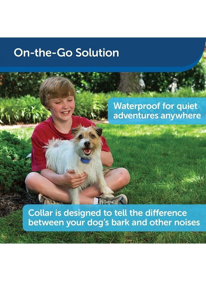 PetSafe Elite Little Dog Spray Bark Collar for Small Dogs from 8 lbs to 55 lbs - Smallest Collar Option - Citronella Spray - No Barking Control Device - PBC00-11283