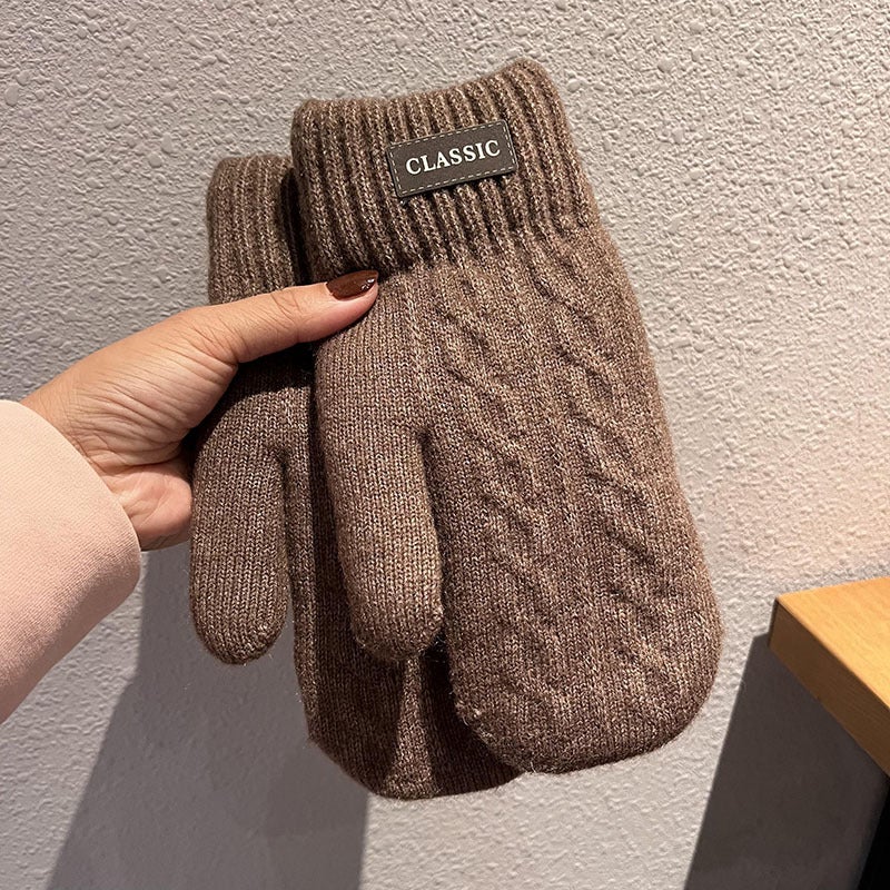 Gloves mens winter warm cold-proof thickened fleece-lined fashion trendy student Mens wool bag finger finger autumn and winter tide Khaki 