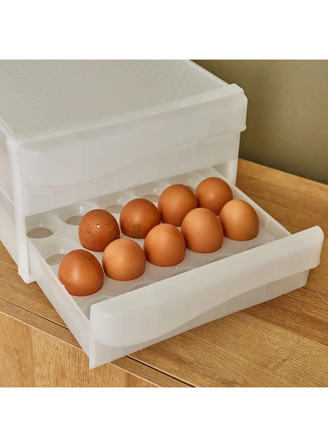 Home Box Essential 60 Egg Compartment Box 26x34x17 cm