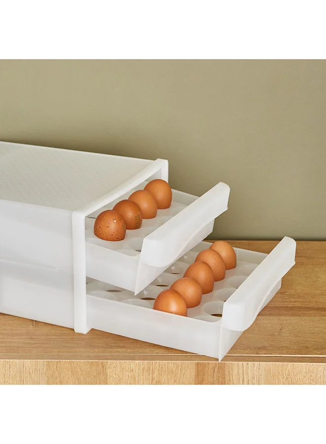 Home Box Essential 60 Egg Compartment Box 26x34x17 cm